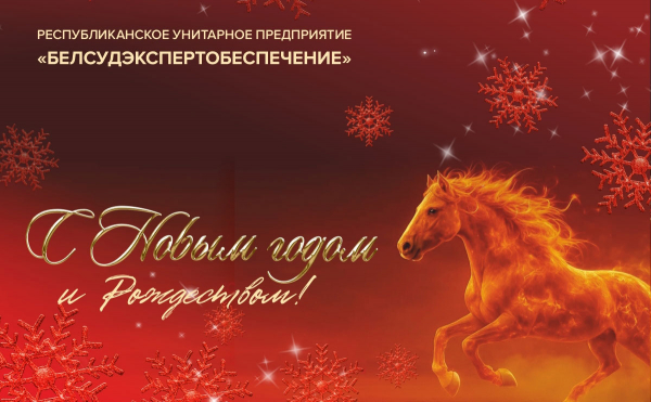 Поздравление директора РУП «Белсудэкспертобеспечение» с Новым годом и Рождеством Христовым
