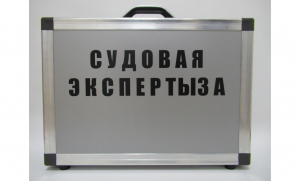 Эксперт-Баллист 2